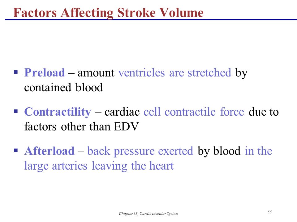 What factors affect circulation of blood in the heart?